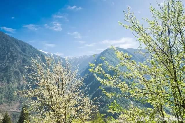 旅游推荐丨云南最美的地方，不是丽江，不是大理，而是这里……