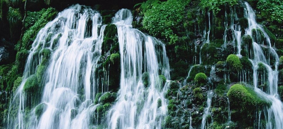 中国股市开门红，A股红包行情之战已经打响!散户毫不知情?