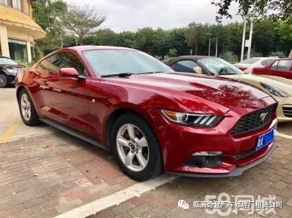 临高县委书记李江华介绍临高未来的建设发展蓝