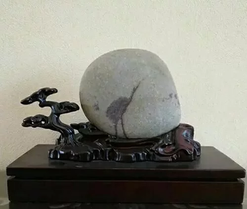 石头多了，什么鸟都有了！