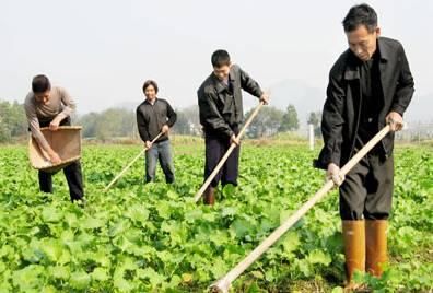 过完元宵，农民最愁的四件事，家家都有！