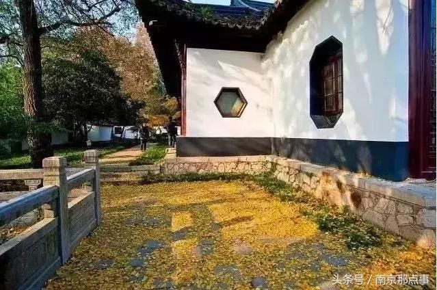 别总去中山陵夫子庙啦!南京这10个绝美冷门景点,小长假走起!