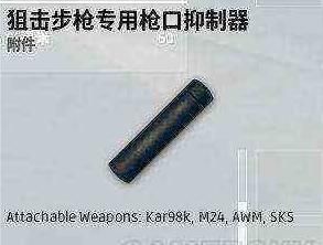 绝地求生:能给AWM装消音的玩家?你怕是中了蛇毒吧!