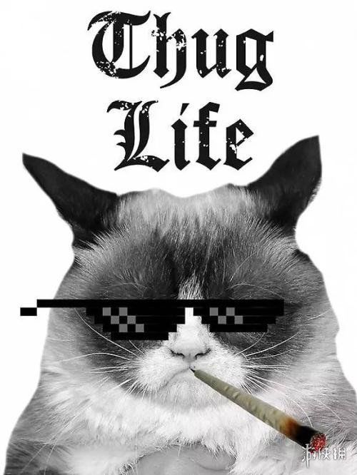 thug life表情