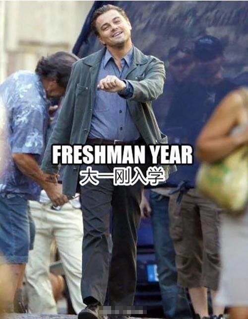 莱昂纳多表情|如果,请叫我表情人生大号图赢家包图片