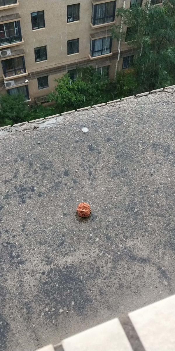 下冰雹了!三门峡气象台连发预警:风力达7级丨