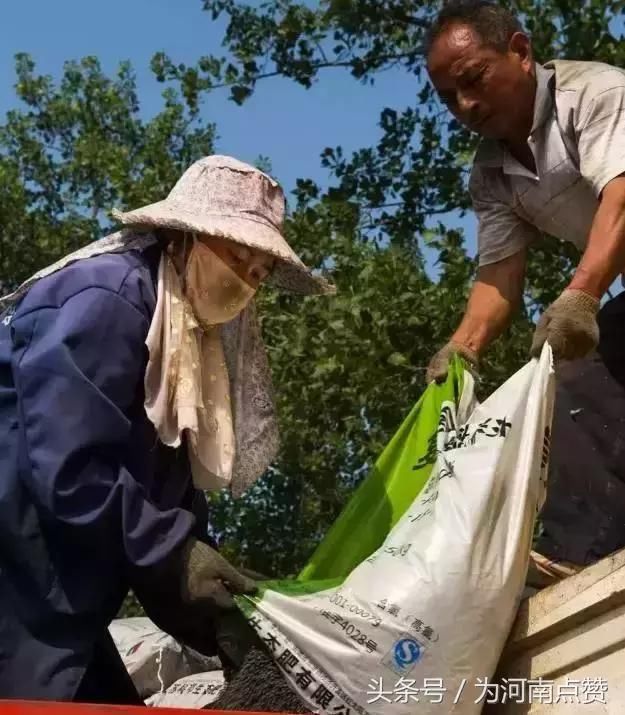 紧急通知！伊川、宜阳、嵩县各乡镇的洛阳人请速回老家！因为……