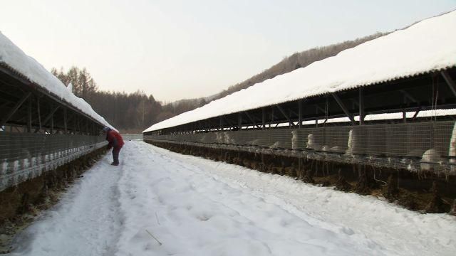 他藏在雪山5年，逆袭出4000万销售额！