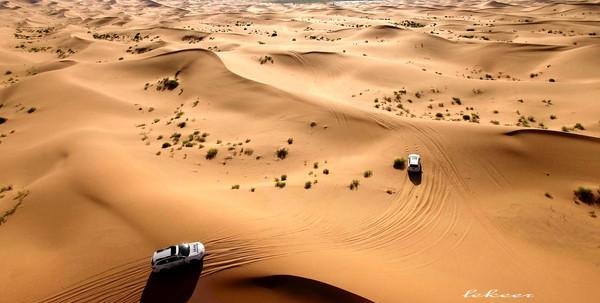 荒漠也不是荒漠了