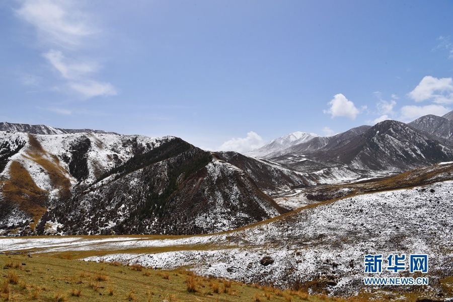 当夏天遇见雪 甘肃肃南五月降雪现“冬夏交织”美景