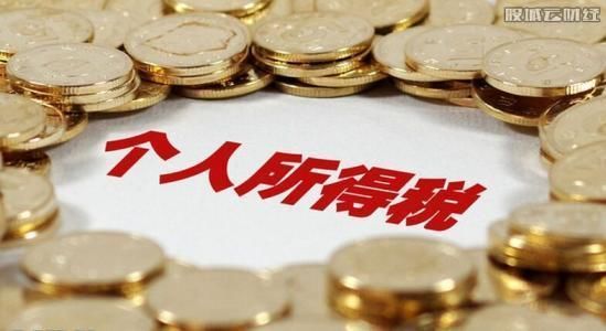 周蓬安:建议对二孩家庭税收激励，荒唐可笑