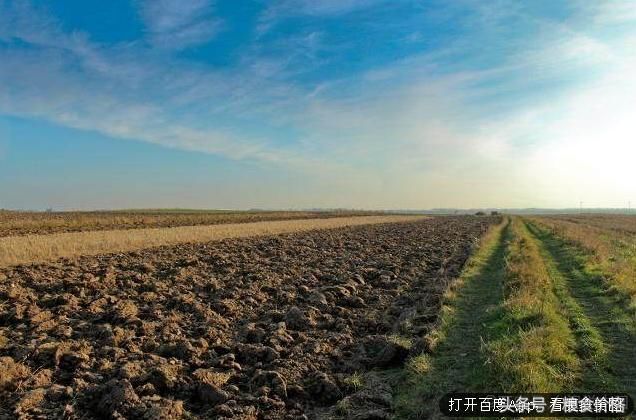 好消息！下个月有一项好政策在农村实施，抓住机会闷声发大财！