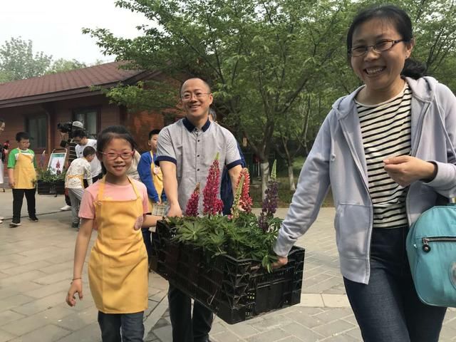 “五一”假期玉渊潭公园首邀亲子家庭栽植鲁冰花
