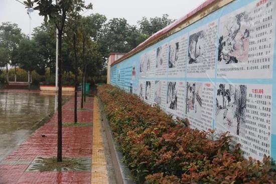 美丽乡村建设快速推进 品牌农业助推绿色崛起