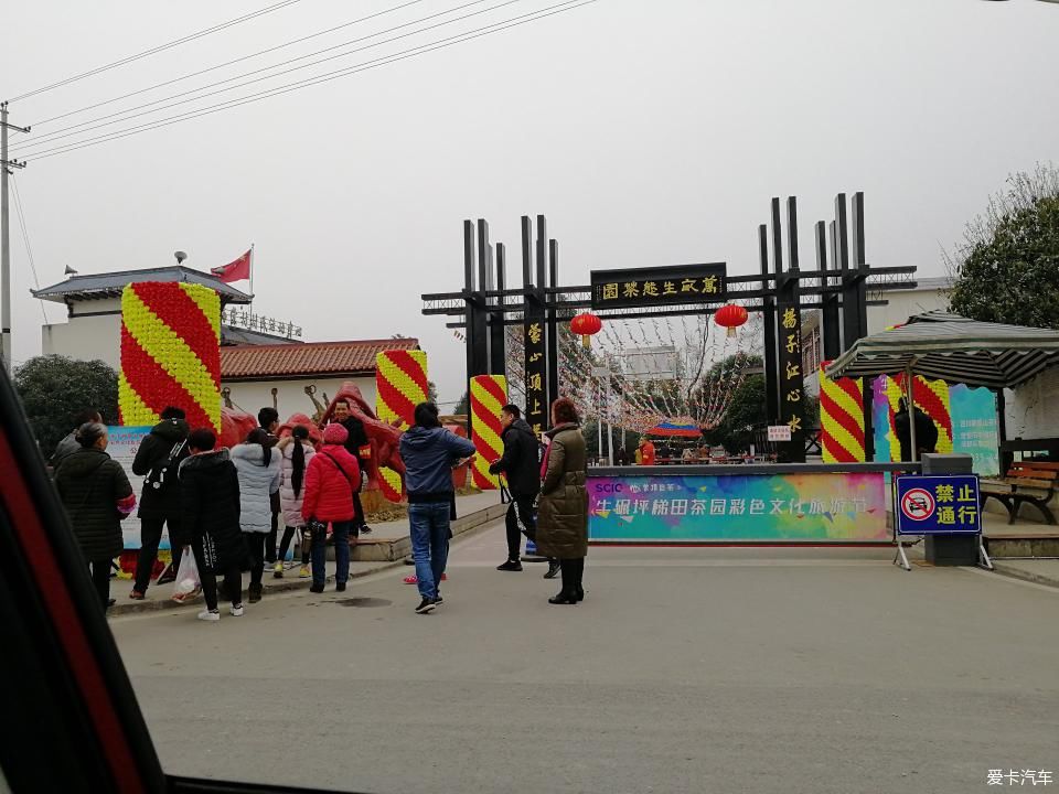 参观牛碾坪万亩观光茶