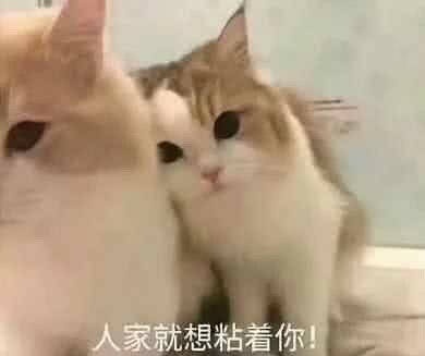 4月一波可爱金光来袭,接住这波可爱搞笑表情热长死表情表情包了图片