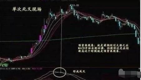 中国股市坚持只看MACD，练就真正的“盈利”思维，出手抓强势股！