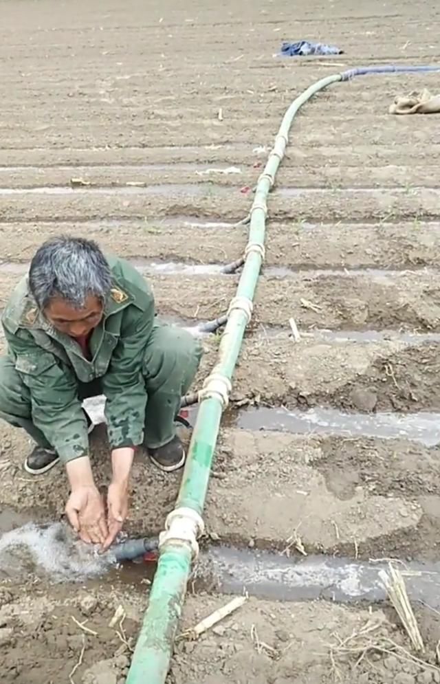 连夜整理：东北不下雨玉米不出苗 老农民掀起抗旱保苗热潮