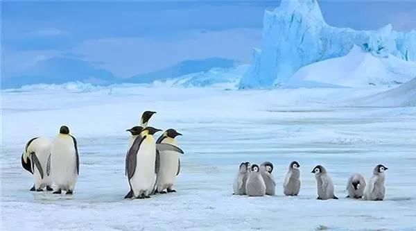 众萌游记：比马尔代夫更有逼格的旅行地，此生必去一次!