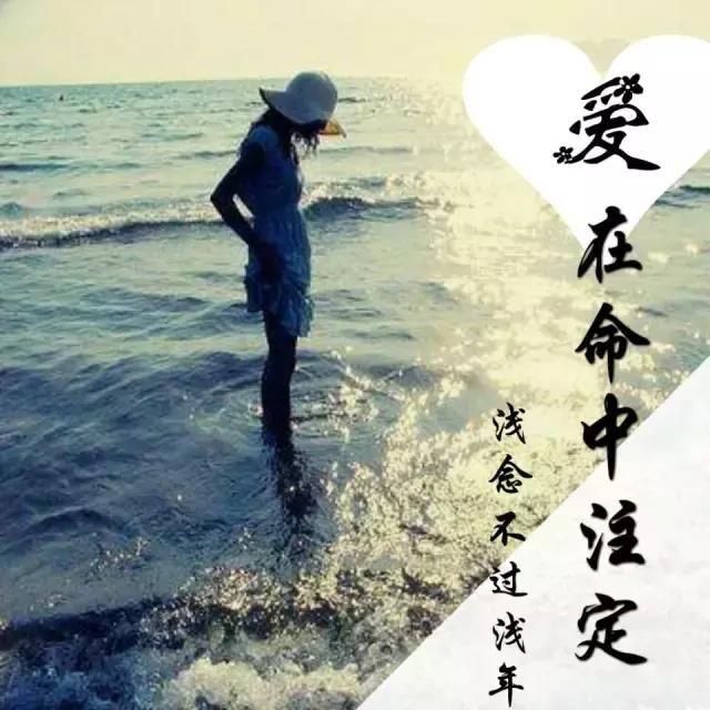 t0126b6dbd0c67cefe3.jpg