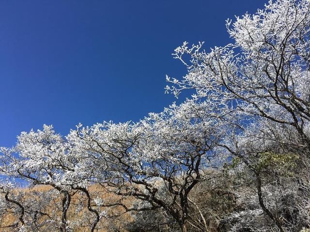 白色武功之龙山村-发云界-金顶-索道