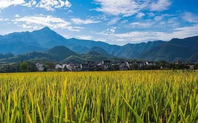 清明买不上票？各主题列车带你游全国！