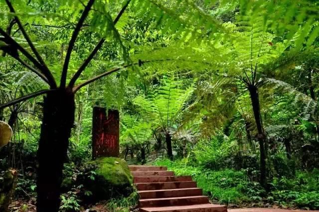 看瀑布不必去看黄果树，还有这些性价比超高的景点不被人知道