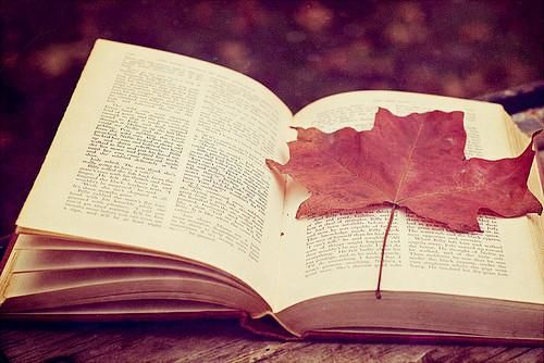 晓雯论金:焦钢企业复产后,双焦需求将增加