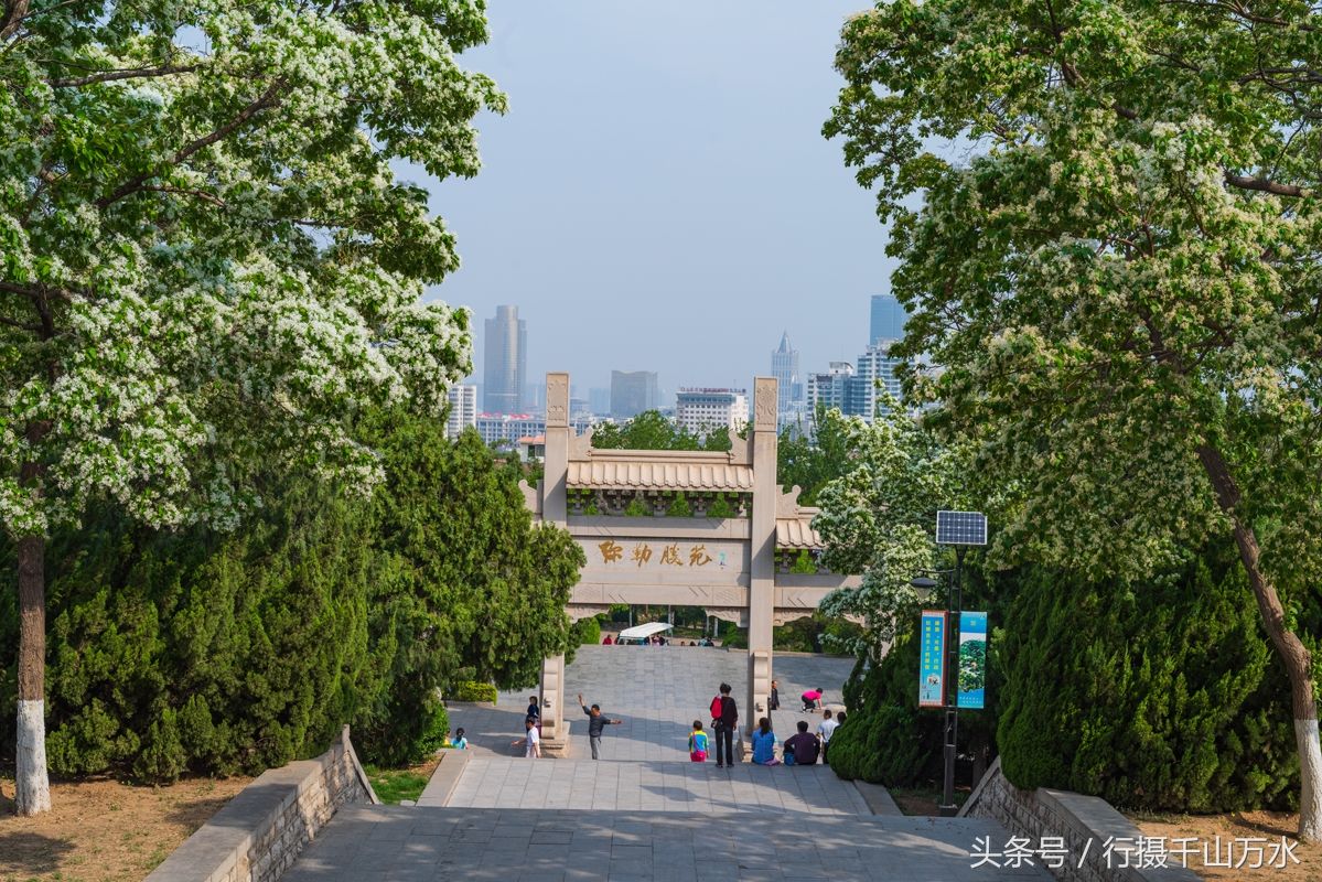 济南千佛山弥勒胜苑，风景优美，佛光普照