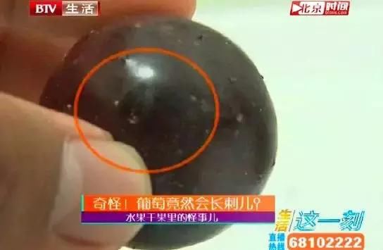 葡萄皮上有这东西千万别买,买了也别吃!里面可能全是虫子……