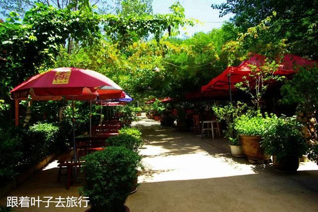 王家大院白面馒头唤起忆古思甜的关中记忆