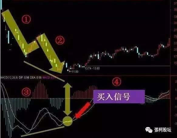 20年老股明的压箱底MACD选股战法，伏击强势股精准率惊人，让你获