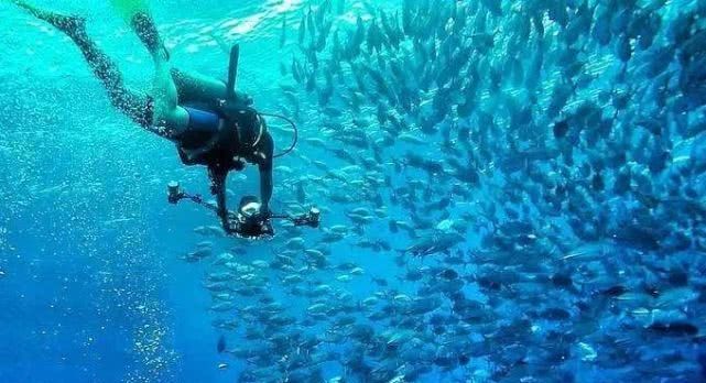 突发不幸!两名中国游客马来西亚仙本那潜水,遭