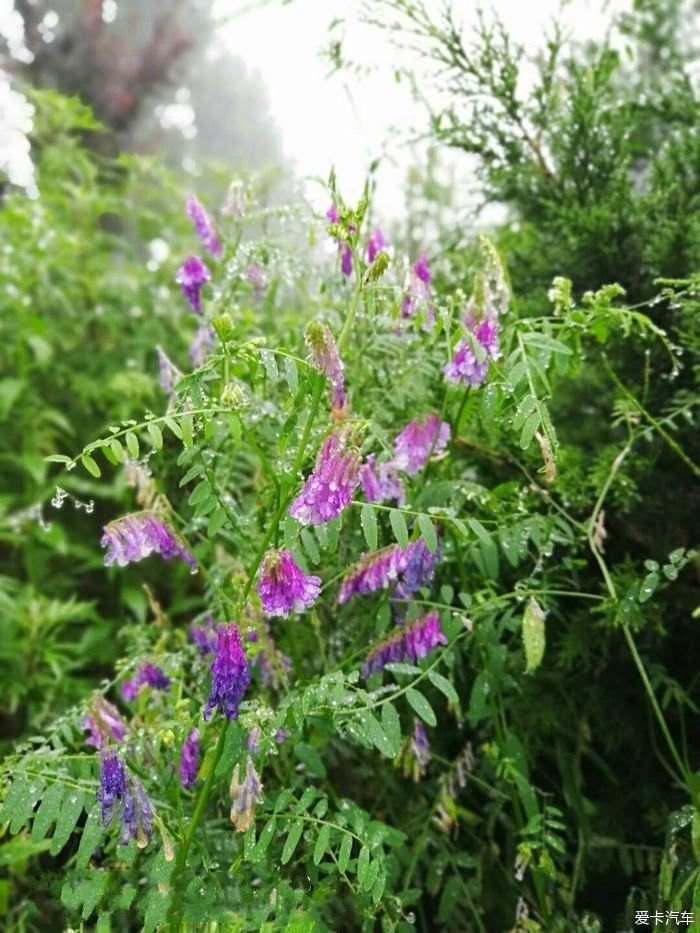 陕西福特车队秦岭大峪自驾游汇报帖