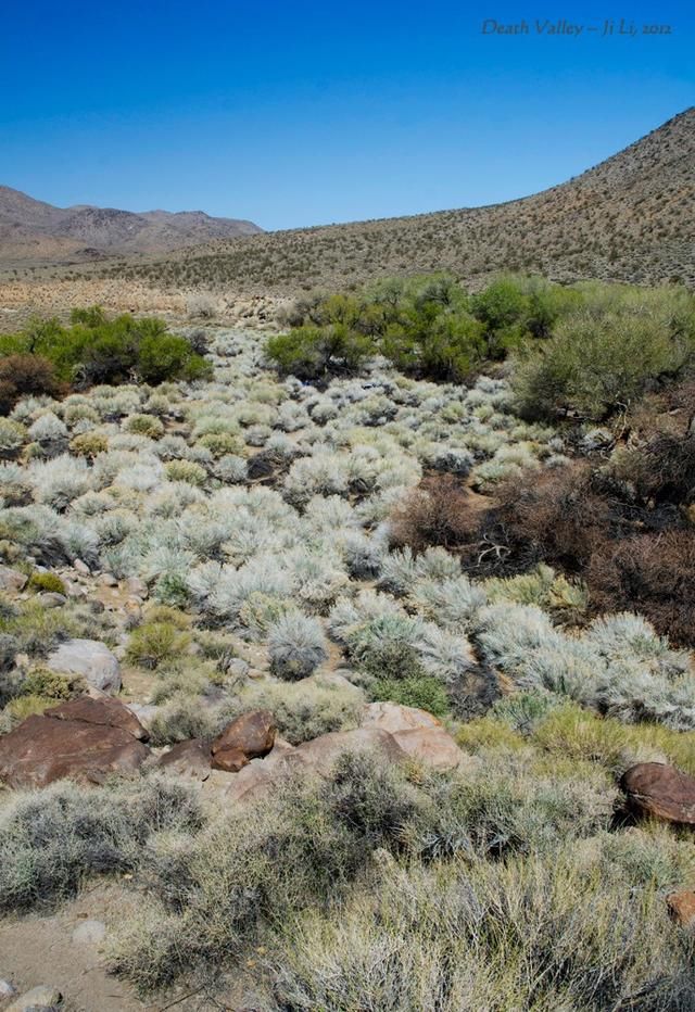 一 死亡谷国家公园