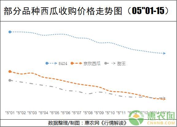 观市：西瓜收购行情低迷 价格或跌破瓜农成本线