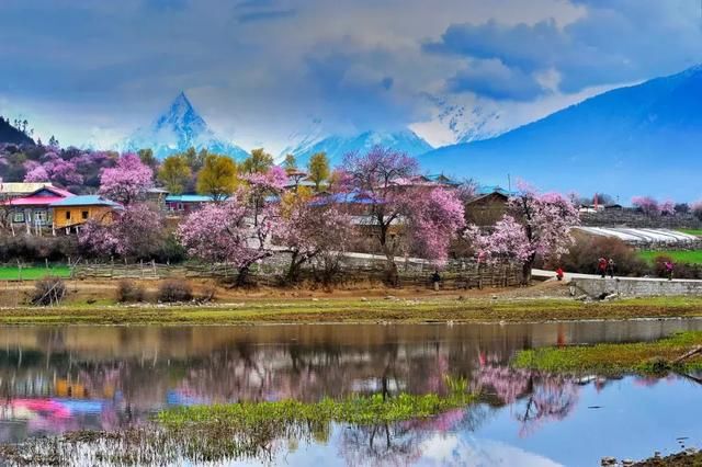 大好春光，3月花开成海！中国最美的10个赏花地，惊艳整个朋友圈