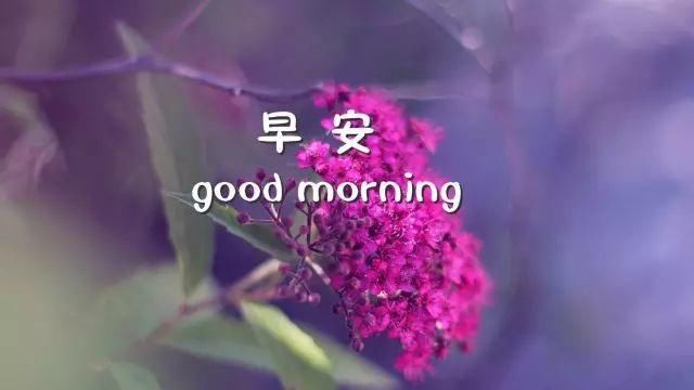 如何放下过去释怀自己 t0129e61b6d160d8833.jpg