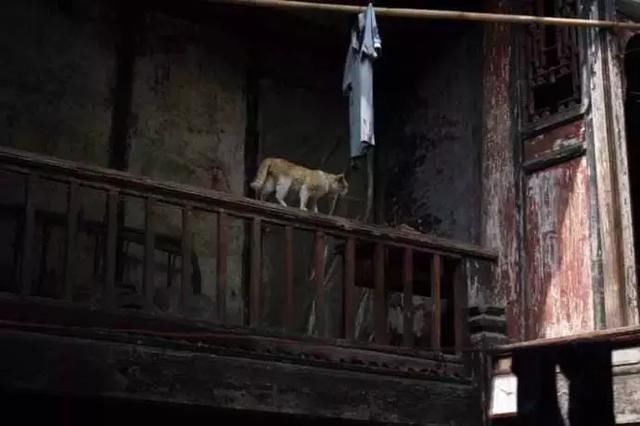 人间四月芳菲尽,古镇深巷炊烟袅 成都周边最冷门的5个古镇