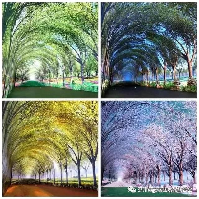 世界银杏博览馆导览｜二、从最美的时光隧道穿越到侏罗纪