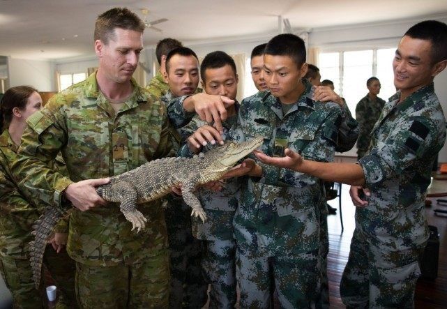 为啥中国华人都喜欢在美国当兵，五张组图告诉你真实原因!