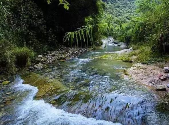 6月的成都最佳的旅行时间,去找一处清幽之处露