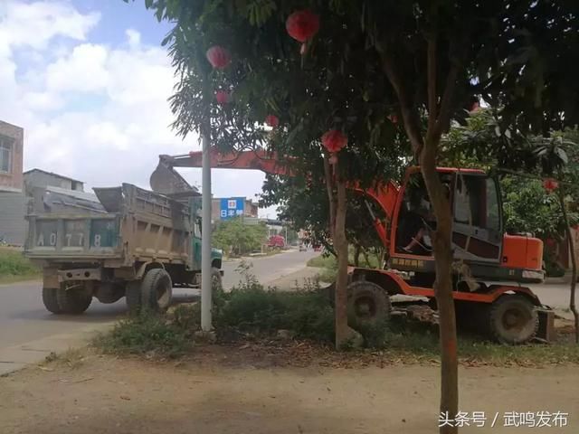 武鸣县陆斡镇人口普查_人口普查图片