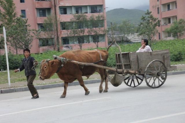 朝鲜百姓为什么很少出国旅游,朝鲜导游说出了原因!