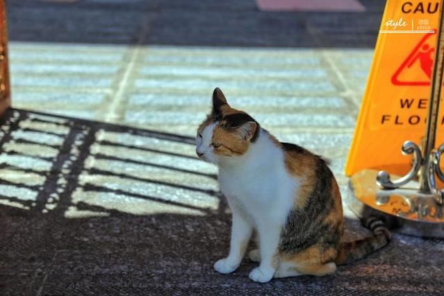 泰国成最危险旅游国家!这些年沉船遇难不少,为
