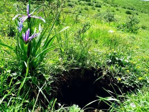 天川进青出,第二天色达-炉霍-道孚,还遇四川最