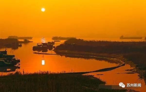 史上首次！豪华游轮停靠张家港，这座岛上的美景要藏不住了！