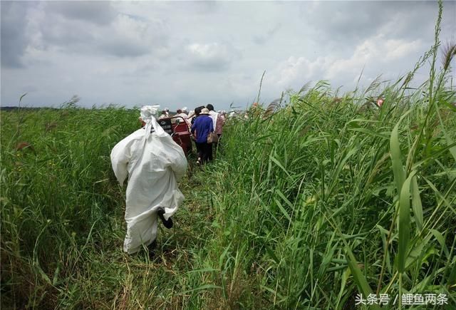 儿媳在外打工，每月给婆婆寄2000块，八岁孙女哭着说：奶奶早死啦