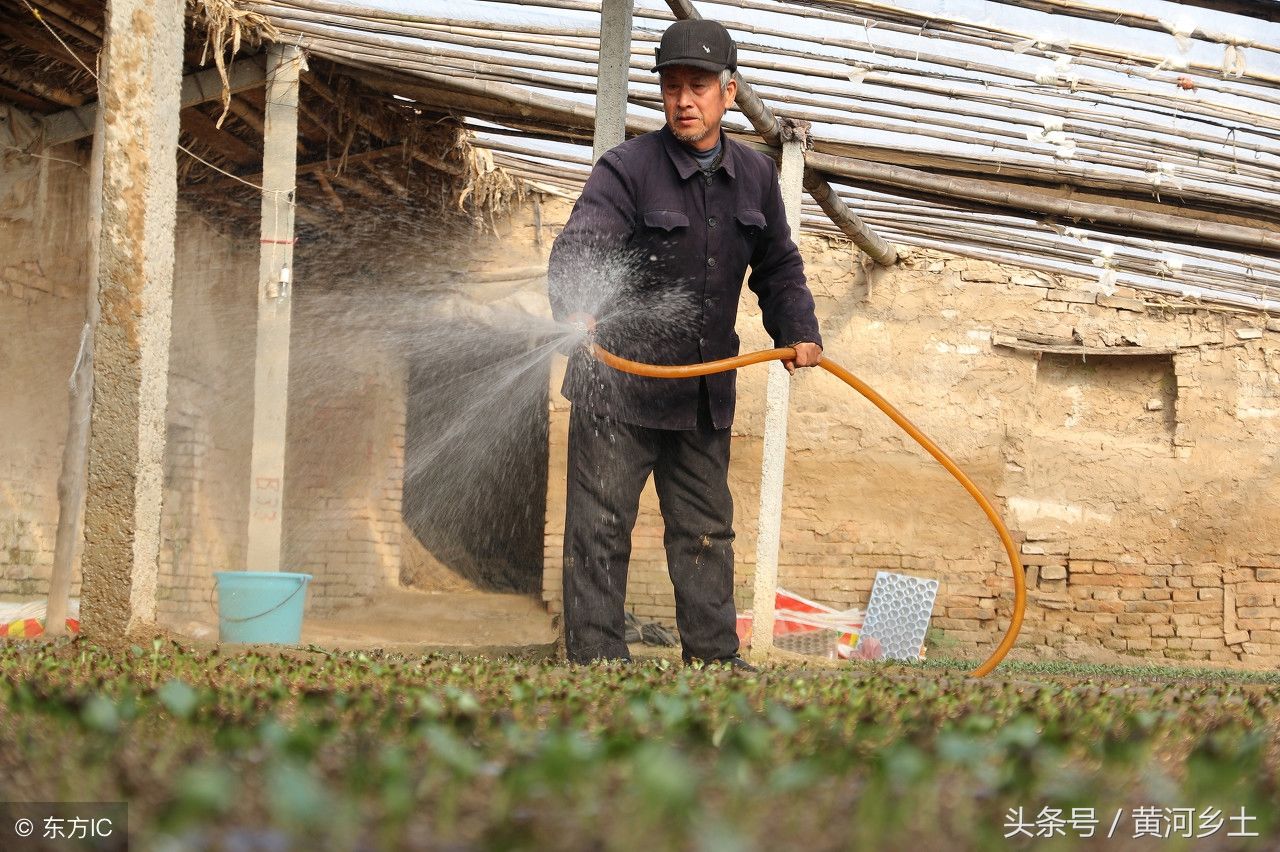 普通的农村六旬卖菜老人，年轻时开飞机上过天，老照片英俊潇洒