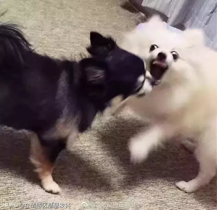 看复联4想要看懂所有梗需要复习哪些漫威电影